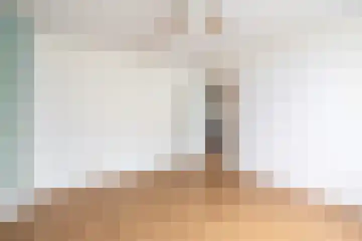 Vuurdoornhof 22 Waalwijk thumbnail 27