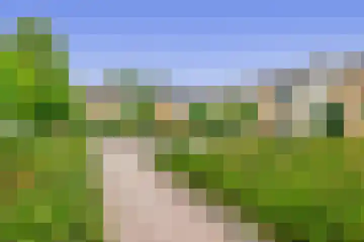 Vuurdoornhof 22 Waalwijk thumbnail 5