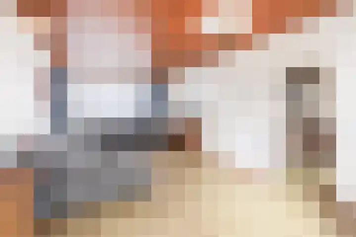 Vuurdoornhof 22 Waalwijk thumbnail 8