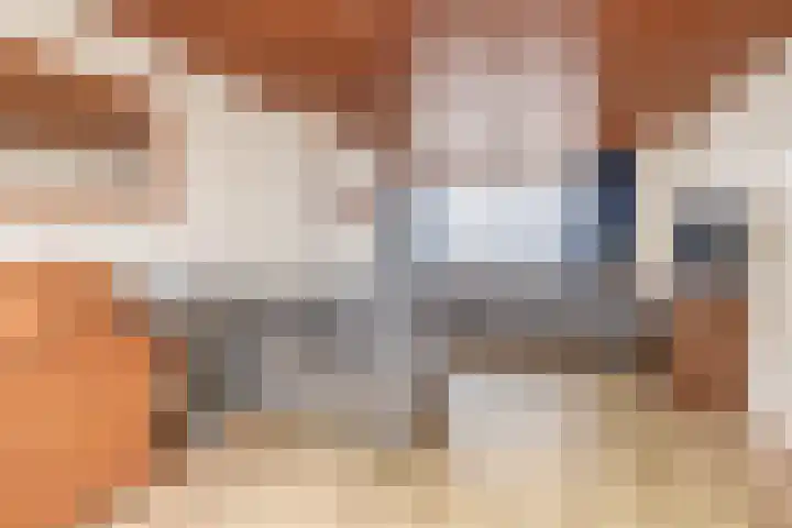 Vuurdoornhof 22 Waalwijk thumbnail 9