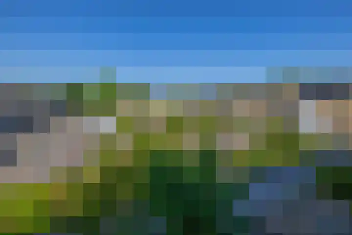 Vuurdoornhof 30 Waalwijk thumbnail 26
