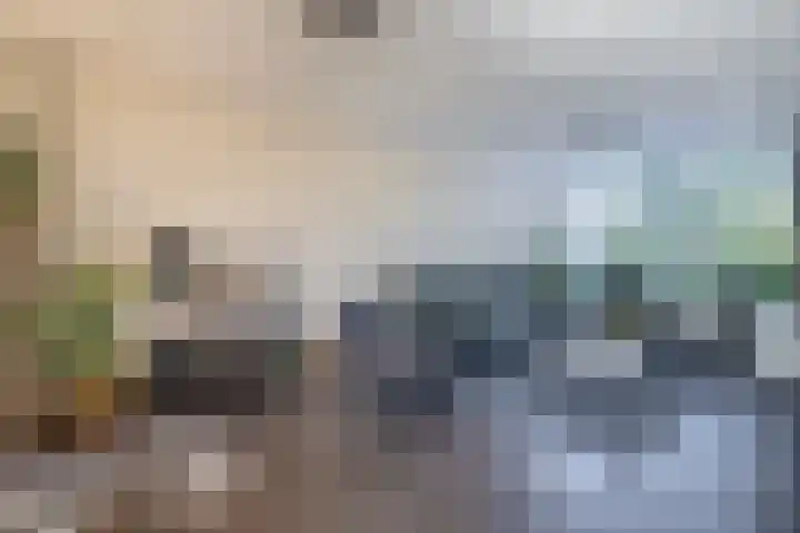 Vuurdoornhof 30 Waalwijk thumbnail 7