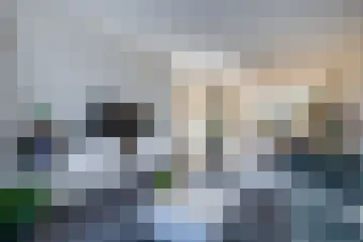 Vuurdoornhof 30 Waalwijk thumbnail 8