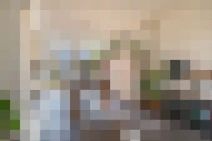 Vuurdoornhof 30 Waalwijk thumbnail 9