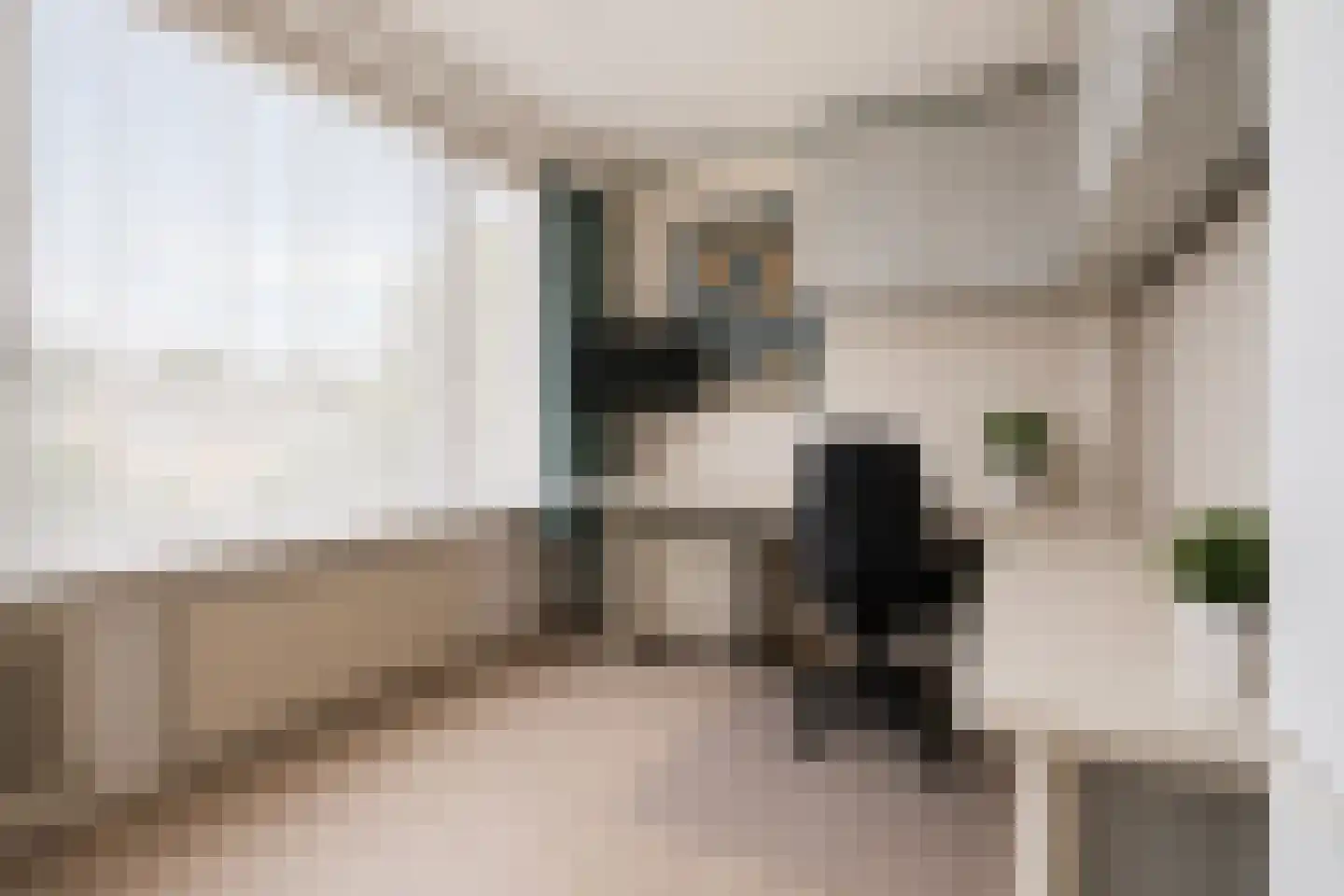 Vuurdoornhof 4 Waalwijk thumbnail 12
