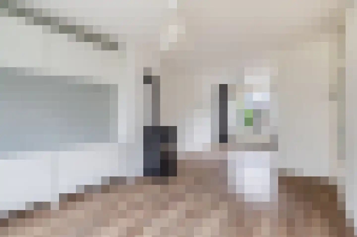 Vuurdoornlaan 14 Pijnacker thumbnail 6