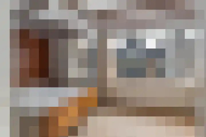 Vuurdoornlaan 15 Pijnacker thumbnail 11
