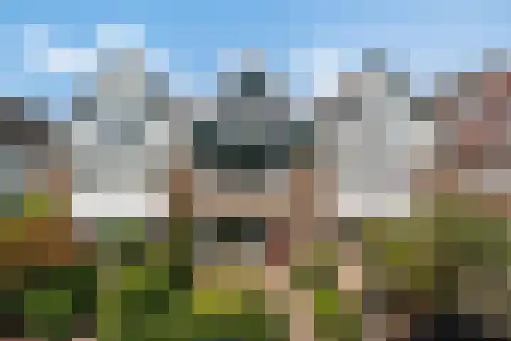 Vuurdoornlaan 15 Pijnacker thumbnail 25
