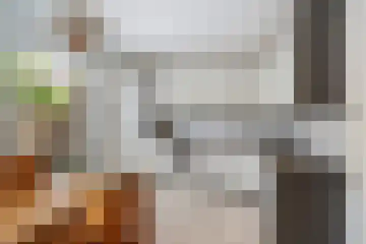 Vuurdoornlaan 15 Pijnacker thumbnail 5