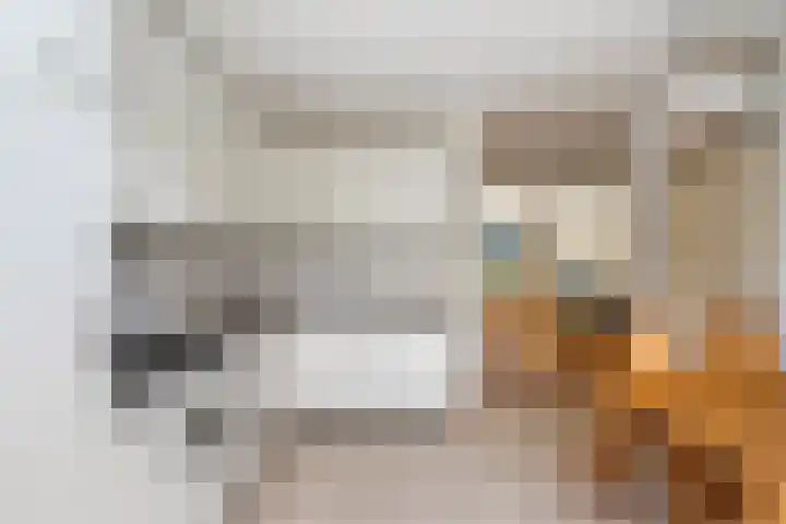 Vuurdoornlaan 15 Pijnacker thumbnail 7