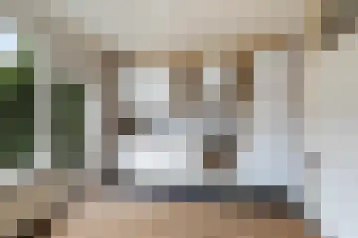 Vuurdoornlaan 17 Pijnacker thumbnail 10