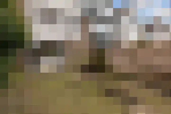 Vuurdoornlaan 17 Pijnacker thumbnail 13