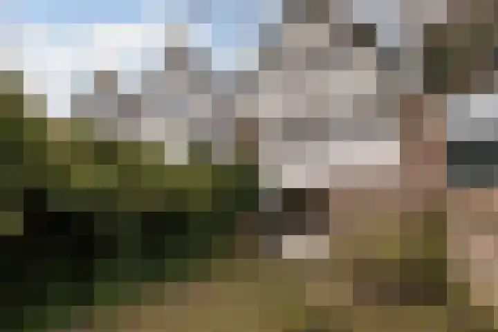Vuurdoornlaan 17 Pijnacker thumbnail 14