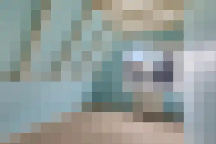 Vuurdoornlaan 17 Pijnacker thumbnail 23