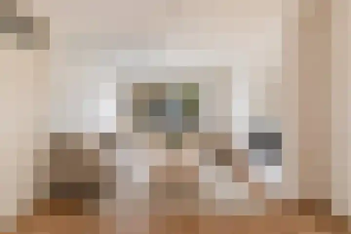 Vuurdoornlaan 17 Pijnacker thumbnail 4
