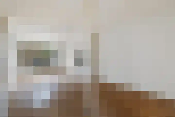 Vuurdoornlaan 17 Pijnacker thumbnail 5
