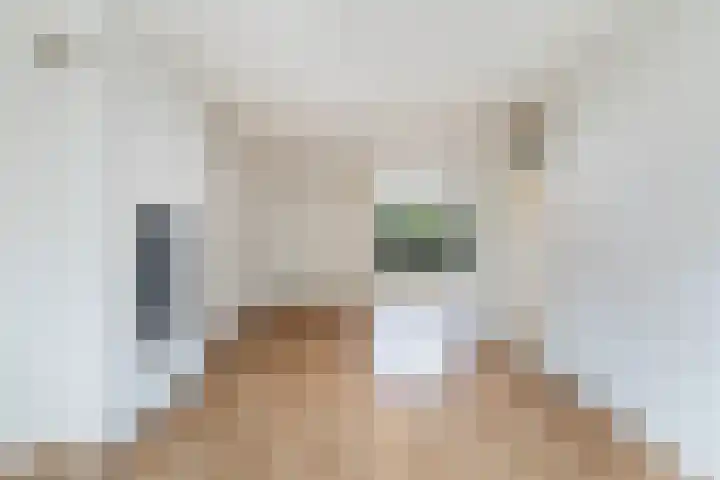 Vuurdoornlaan 17 Pijnacker thumbnail 6
