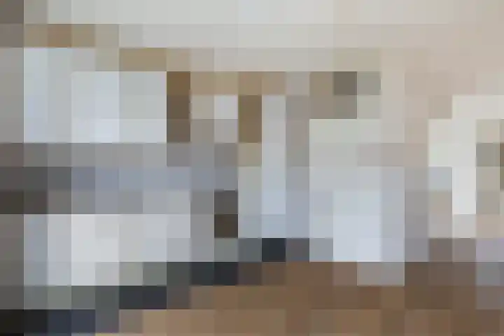 Vuurdoornlaan 17 Pijnacker thumbnail 7