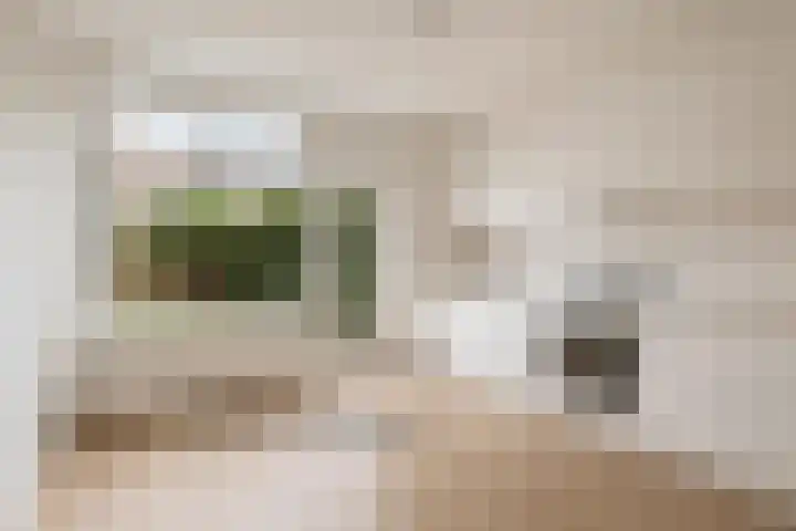 Vuurdoornlaan 17 Pijnacker thumbnail 9