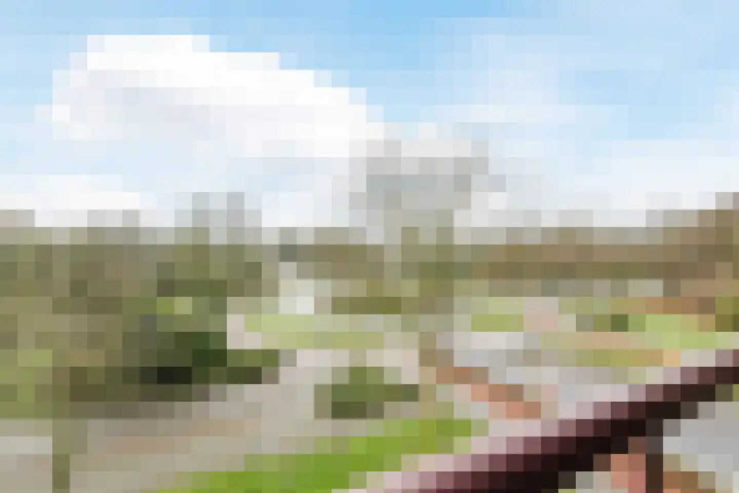 Vuurdoornlaan 2 02 Nijkerk thumbnail 19