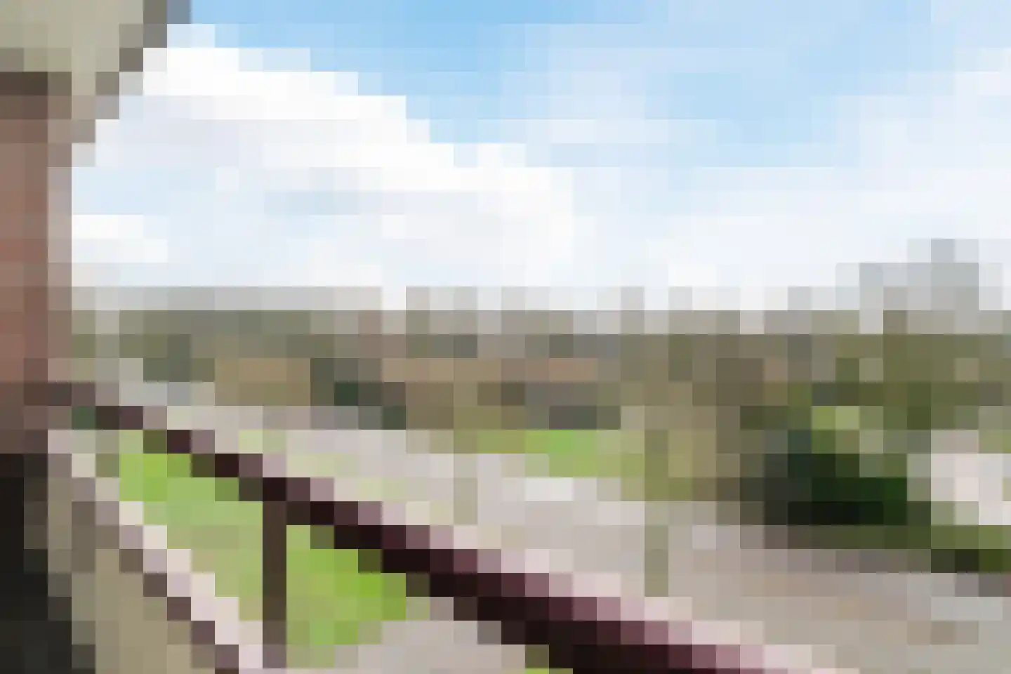 Vuurdoornlaan 2 02 Nijkerk thumbnail 20