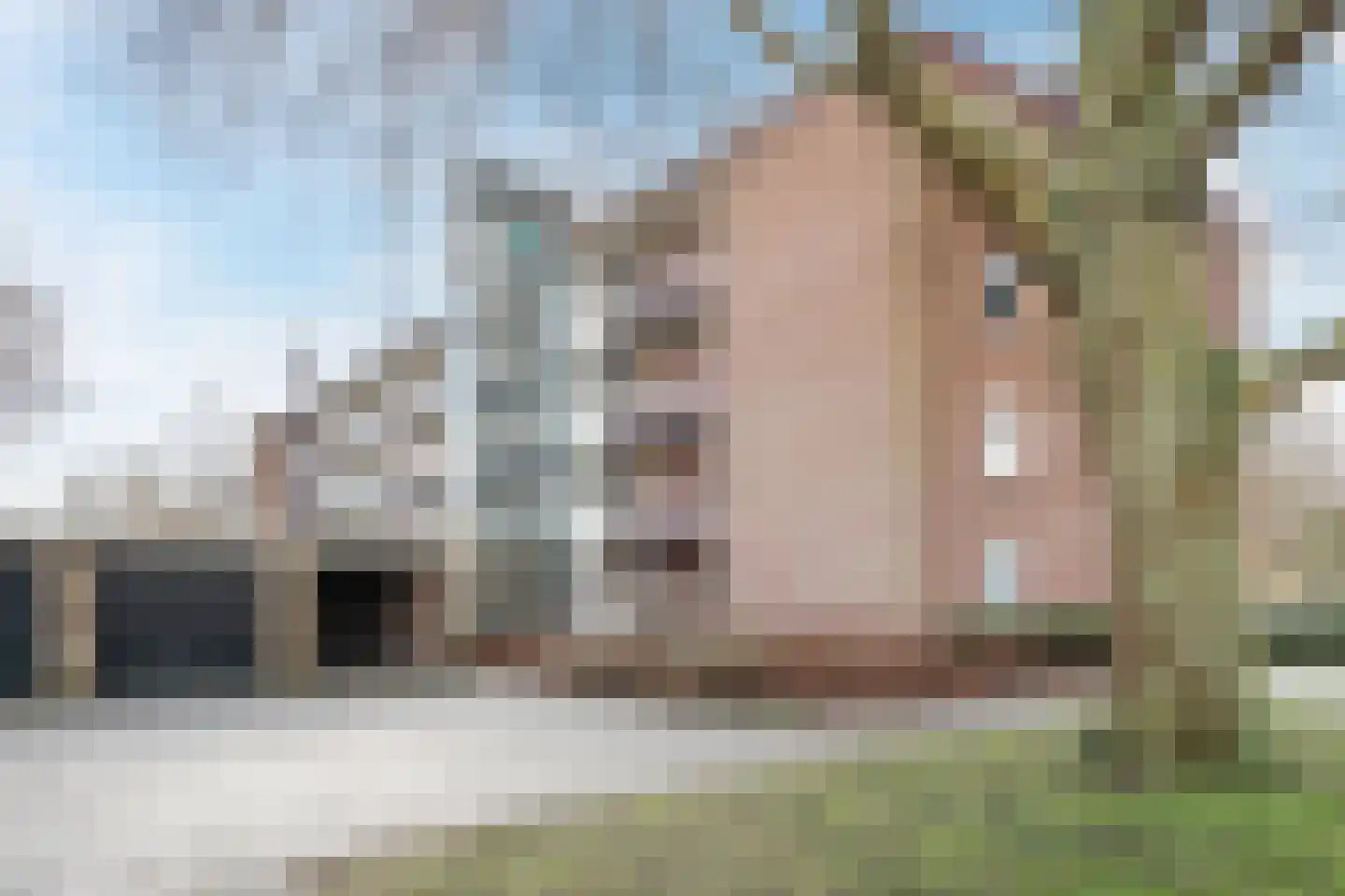 Vuurdoornlaan 2 02 Nijkerk thumbnail 24