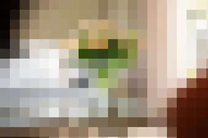Vuurdoornlaan 24 Ridderkerk thumbnail 11