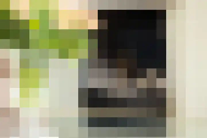 Vuurdoornlaan 24 Ridderkerk thumbnail 12