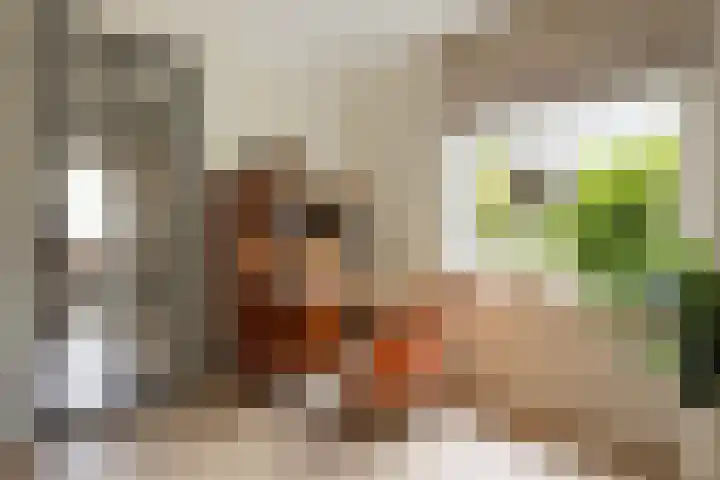 Vuurdoornlaan 24 Ridderkerk thumbnail 13