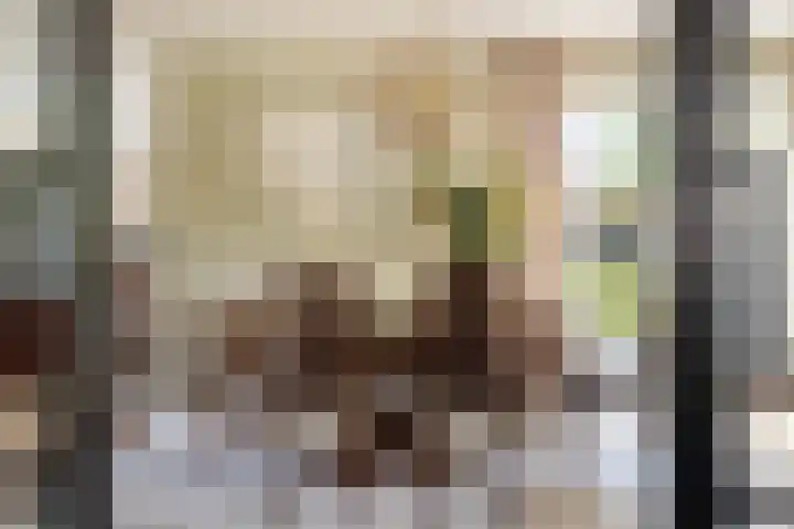 Vuurdoornlaan 24 Ridderkerk thumbnail 14