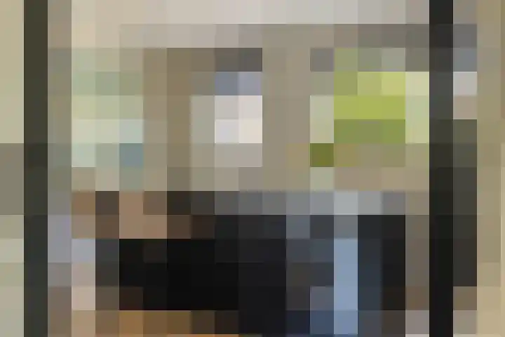 Vuurdoornlaan 24 Ridderkerk thumbnail 17