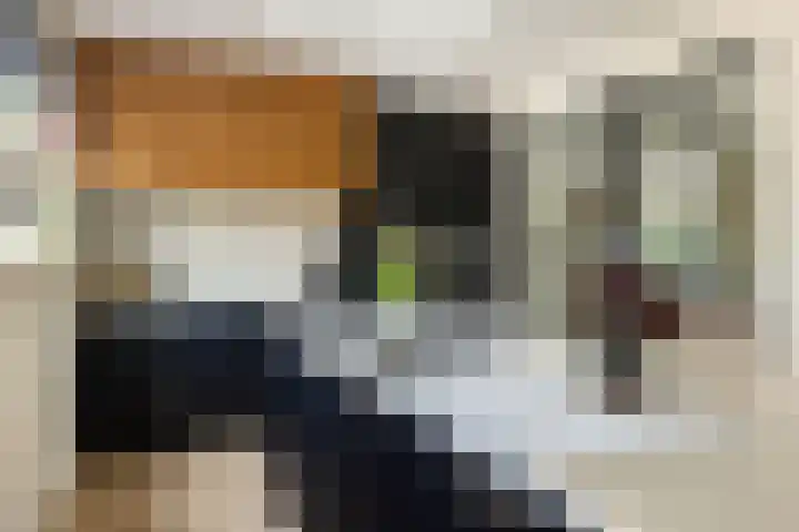 Vuurdoornlaan 24 Ridderkerk thumbnail 19