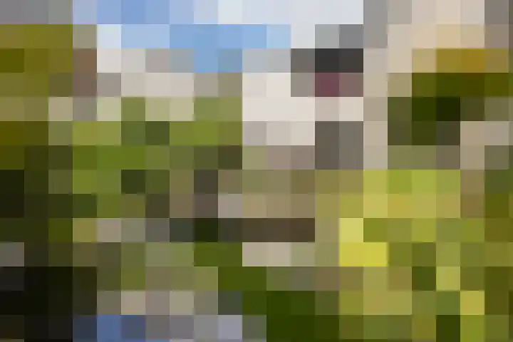 Vuurdoornlaan 24 Ridderkerk thumbnail 20