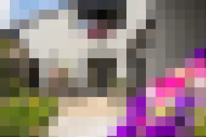 Vuurdoornlaan 24 Ridderkerk thumbnail 21