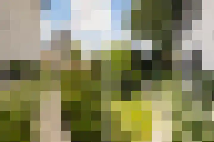 Vuurdoornlaan 24 Ridderkerk thumbnail 22