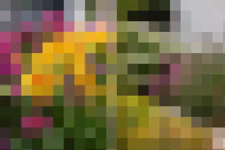 Vuurdoornlaan 24 Ridderkerk thumbnail 24