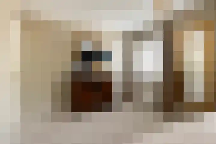 Vuurdoornlaan 24 Ridderkerk thumbnail 28