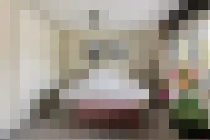 Vuurdoornlaan 24 Ridderkerk thumbnail 29