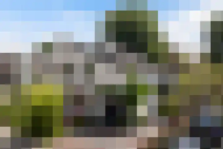 Vuurdoornlaan 24 Ridderkerk thumbnail 33