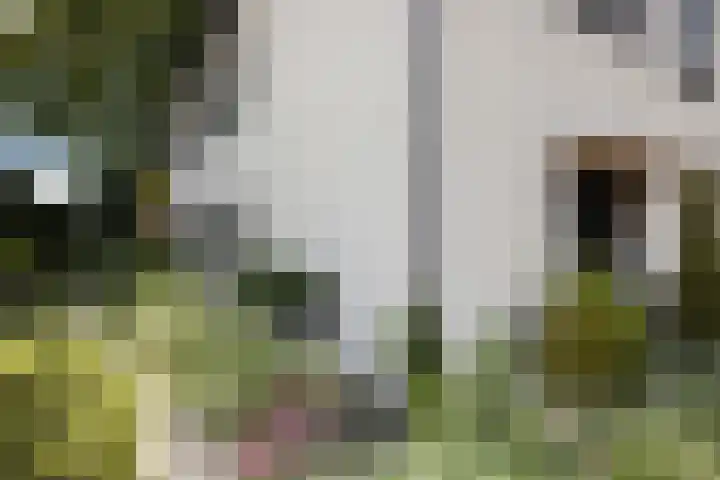 Vuurdoornlaan 24 Ridderkerk thumbnail 34