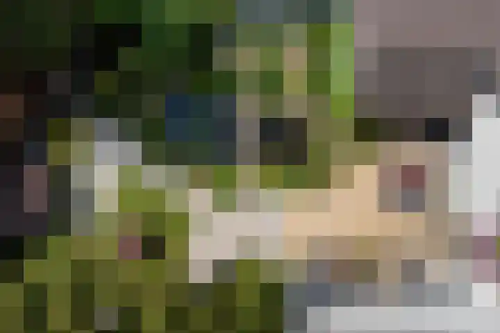 Vuurdoornlaan 24 Ridderkerk thumbnail 35