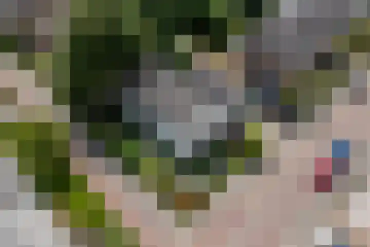 Vuurdoornlaan 24 Ridderkerk thumbnail 36