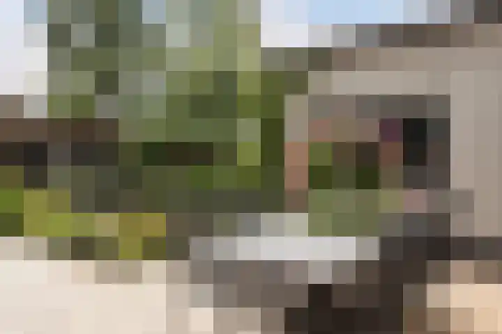 Vuurdoornlaan 24 Ridderkerk thumbnail 37