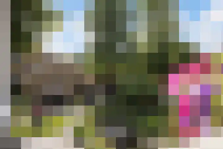 Vuurdoornlaan 24 Ridderkerk thumbnail 38