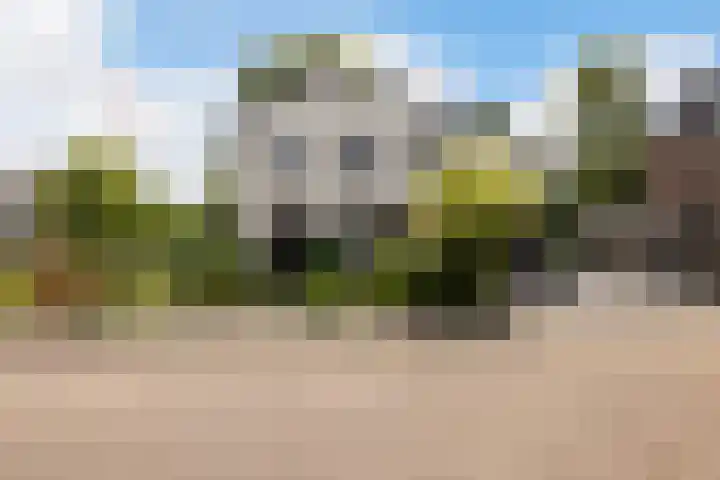 Vuurdoornlaan 24 Ridderkerk thumbnail 4