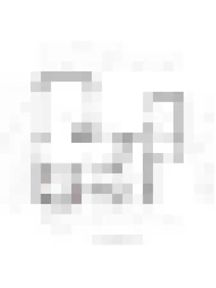 Vuurdoornlaan 24 Ridderkerk thumbnail 40