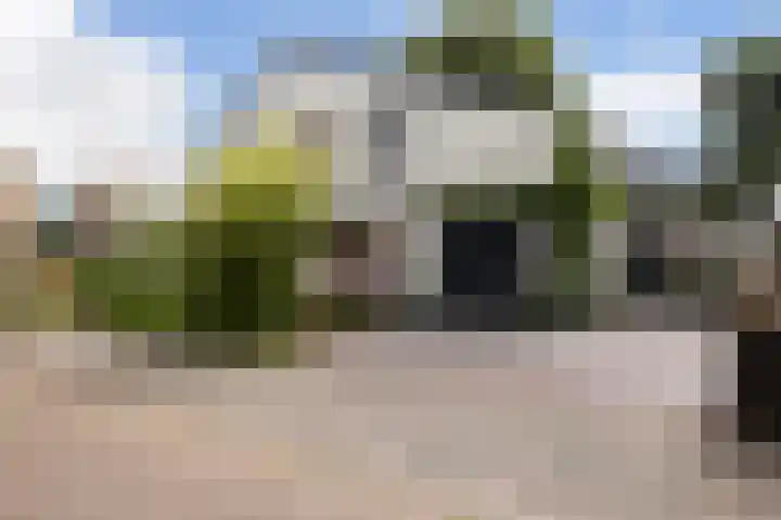 Vuurdoornlaan 24 Ridderkerk thumbnail 44
