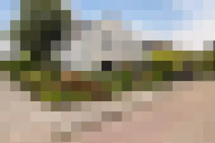 Vuurdoornlaan 24 Ridderkerk thumbnail 5
