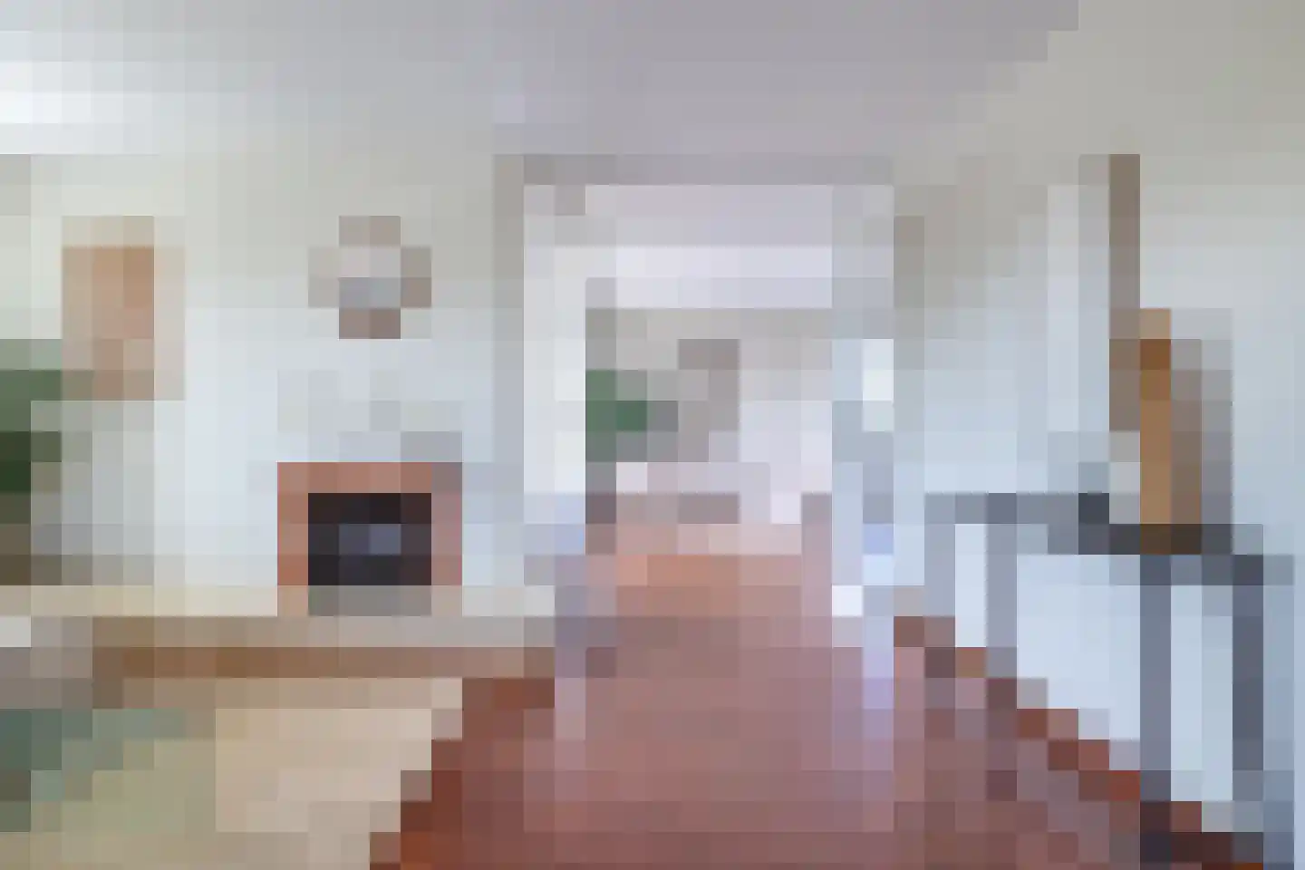 Vuurdoornlaan 26 Gouda thumbnail 31
