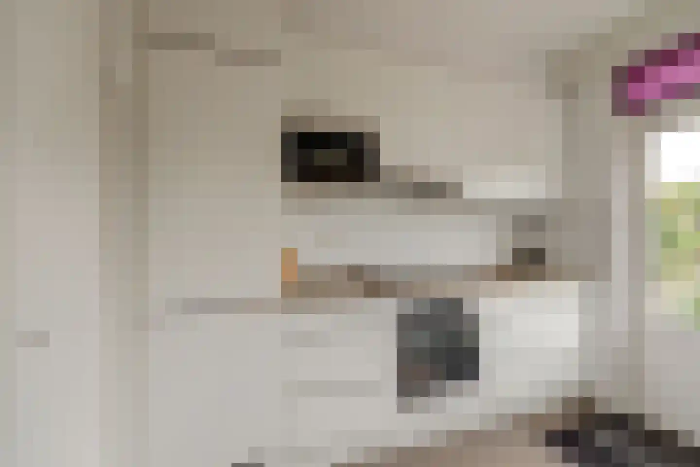 Vuurdoornlaan 27 Gouda thumbnail 17